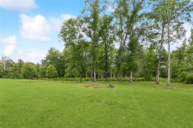 10410 Mahogany Rd, Independence, LA 70443 - photo 16