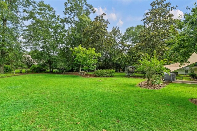 6 Holly Ln, Covington, LA 70433 - photo 28