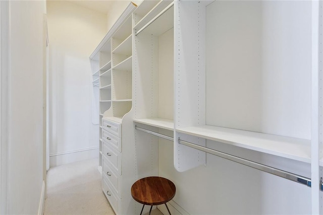 1633 Dufossat St, New Orleans, LA 70115 - walk in closet featuring light colored carpet