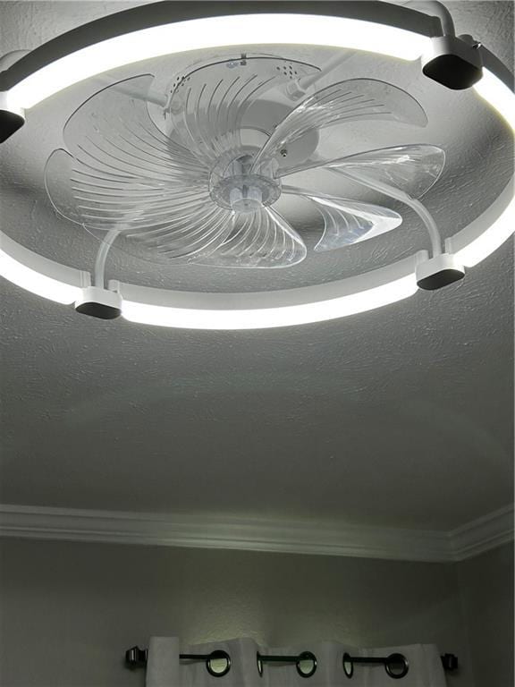 1705 Armagh Dr, Marrero, LA 70072 - detailed view of crown molding