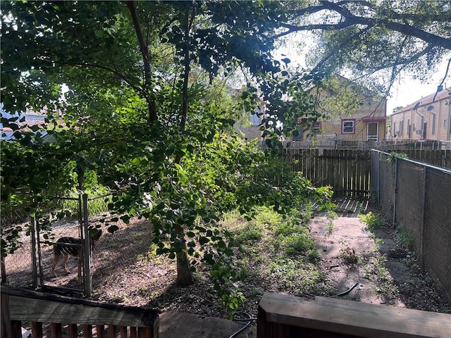 1133-35 Belleville St, New Orleans, LA 70114 - view of yard