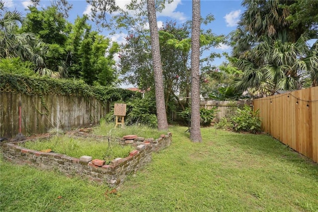 921-23 Hagan Ave, New Orleans, LA 70119 - view of yard