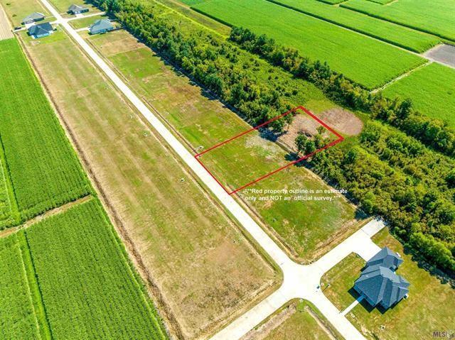377 Le Belle Maison Dr, Raceland, LA 70394 - photo 2