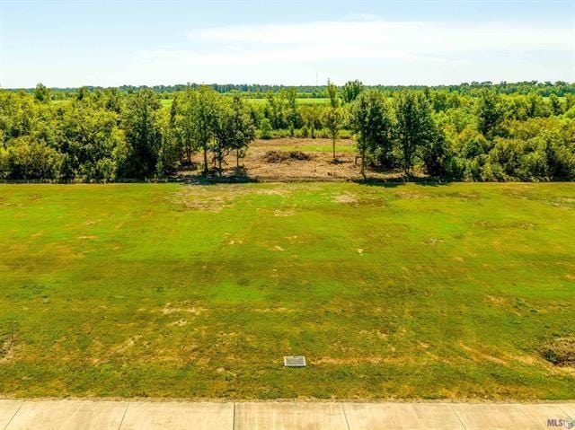 377 Le Belle Maison Dr, Raceland, LA 70394 - photo 4