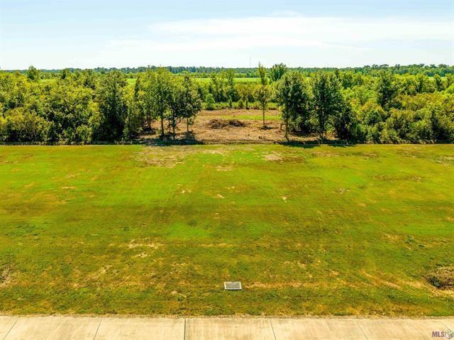 377 Le Belle Maison Dr, Raceland, LA 70394 - photo 4