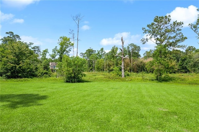581 S Military Rd, Slidell, LA 70461 - view of green lawn