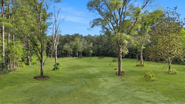 23370 Elm St, Mandeville, LA 70448