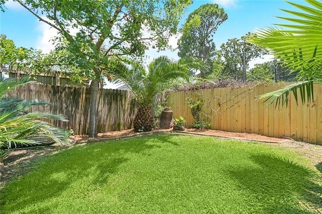 4517 Bissonet Dr, Metairie, LA 70003 - view of yard
