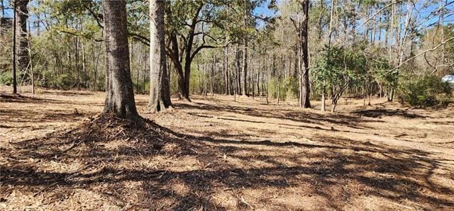 LOT102 Bleu Lake Dr, Covington, LA 70435 - photo 1
