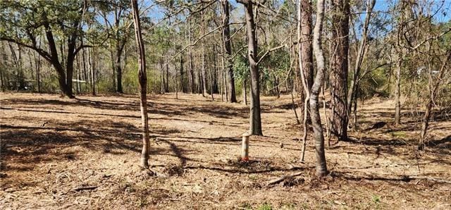 LOT102 Bleu Lake Dr, Covington, LA 70435 - photo 2