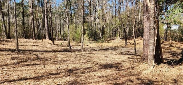 LOT102 Bleu Lake Dr, Covington, LA 70435 - photo 3