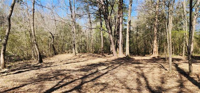 LOT102 Bleu Lake Dr, Covington, LA 70435 - photo 4