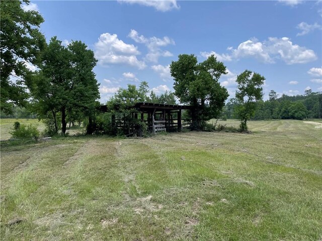 14301 Lee Rd, Franklinton, LA 70438