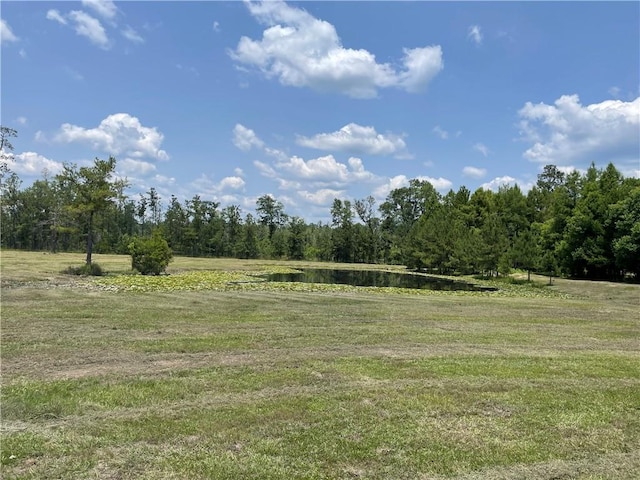 14301 Lee Rd, Franklinton, LA 70438