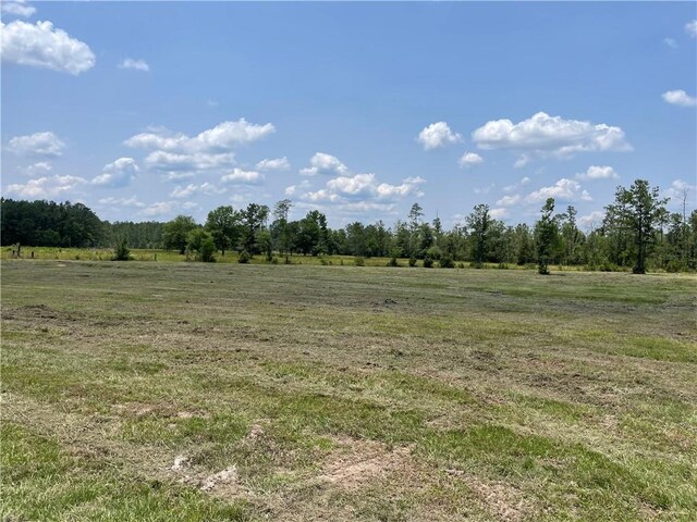 14301 Lee Rd, Franklinton, LA 70438