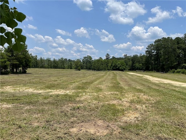 14301 Lee Rd, Franklinton, LA 70438