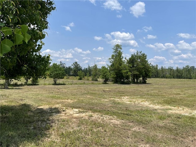 14301 Lee Rd, Franklinton, LA 70438