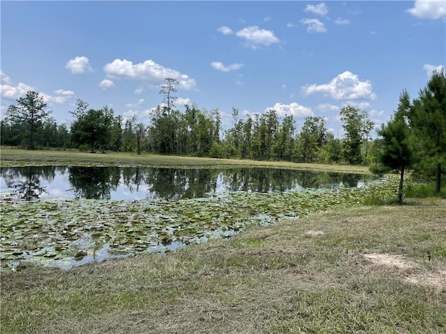 14301 Lee Rd, Franklinton, LA 70438