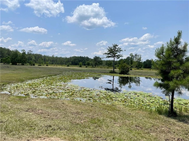 14301 Lee Rd, Franklinton, LA 70438