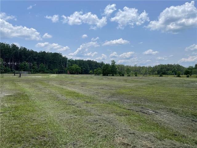 14301 Lee Rd, Franklinton, LA 70438