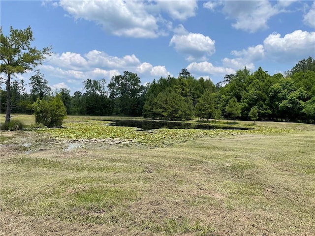 14301 Lee Rd, Franklinton, LA 70438
