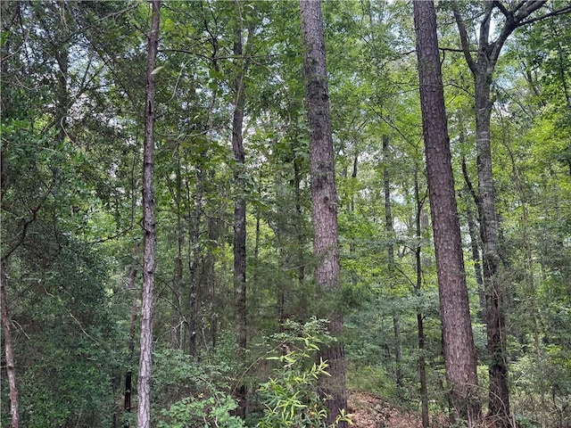 3016 Ashley Rd, Hazlehurst, MS 39083