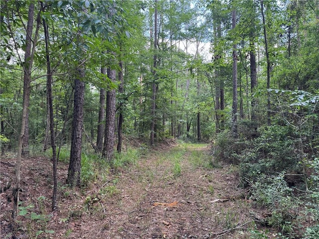 3016 Ashley Rd, Hazlehurst, MS 39083