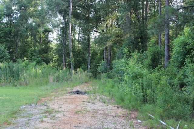 Gordon Jones Rd, Hammond, LA 70401