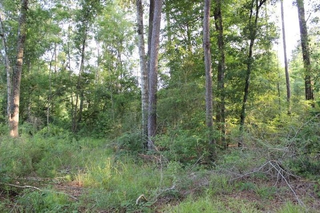 Gordon Jones Rd, Hammond, LA 70401