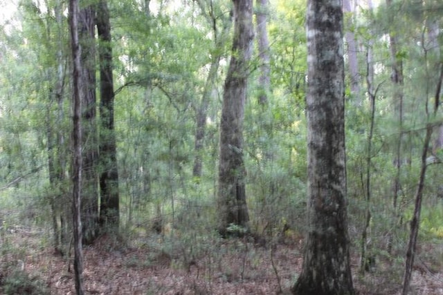 Gordon Jones Rd, Hammond, LA 70401