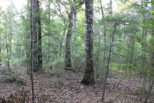 Gordon Jones Rd, Hammond, LA 70401