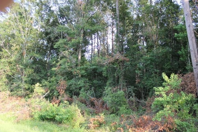 Gordon Jones Rd, Hammond, LA 70401