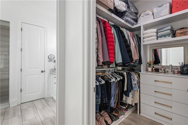 2828 Mistletoe St, New Orleans, LA 70118 - view of spacious closet