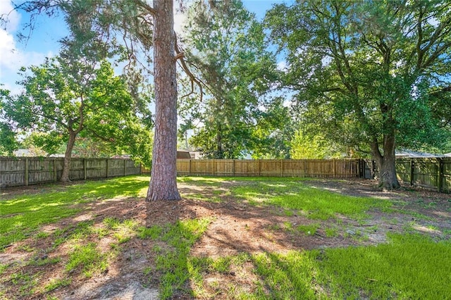 106 Walnut St, Mandeville, LA 70471 - view of yard