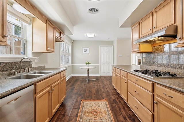15 Forstall Ave, Kenner, LA 70065 - kitchen featuring appliances with stainless steel finishes, under cabinet range hood, a sink, backsplash, and dark wood-type flooring
