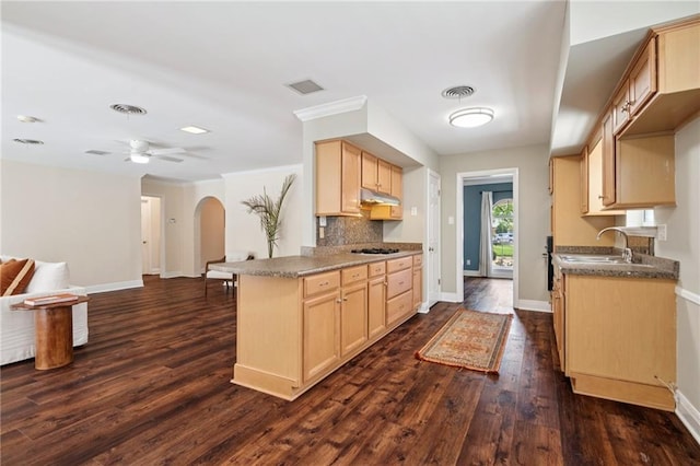 15 Forstall Ave, Kenner, LA 70065 - kitchen featuring light brown cabinets, open floor plan, arched walkways, dark wood-style floors, and ornamental molding