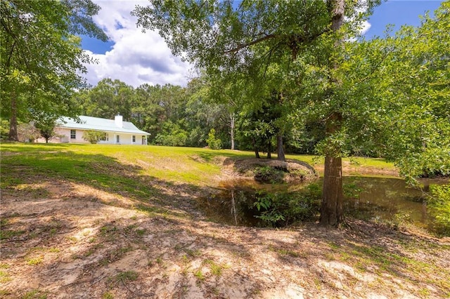 39311 Okefenokee Rd, Pearl River, LA 70452 - view of grassy yard featuring a forest view