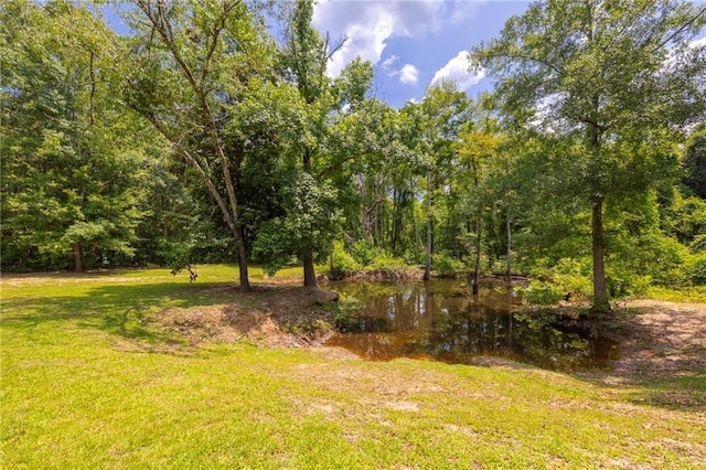 39311 Okefenokee Rd, Pearl River, LA 70452 - view of grassy yard with a water view