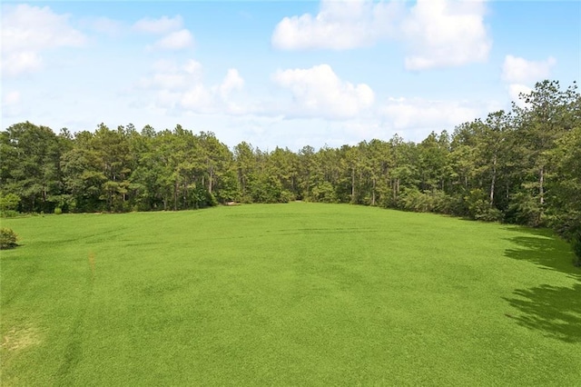 404 Warrior Trce, Covington, LA 70435 - view of green lawn with a forest view
