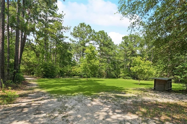 404 Warrior Trce, Covington, LA 70435 - view of grassy yard with a forest view