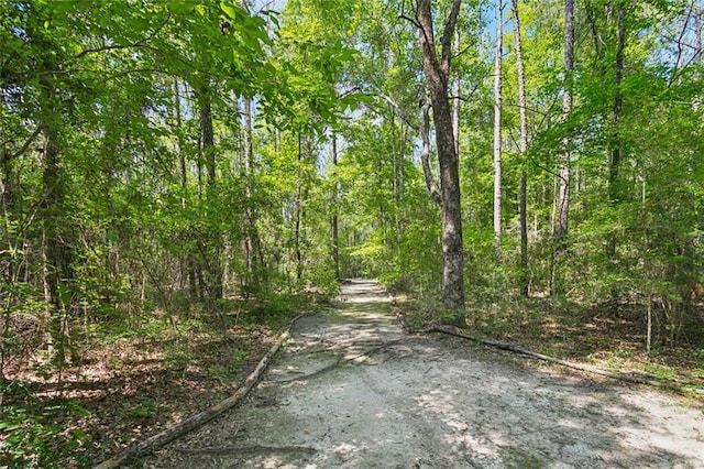 404 Warrior Trce, Covington, LA 70435 - view of street featuring a wooded view