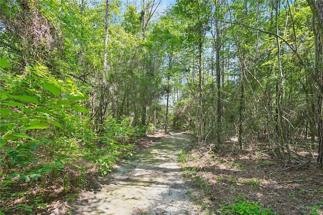 404 Warrior Trce, Covington, LA 70435 - view of street with a wooded view