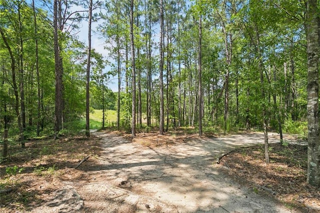 404 Warrior Trce, Covington, LA 70435 - view of road featuring a view of trees