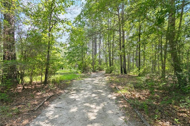 404 Warrior Trce, Covington, LA 70435 - view of street featuring a wooded view