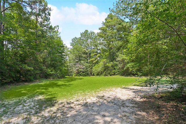 404 Warrior Trce, Covington, LA 70435 - view of green lawn with a forest view