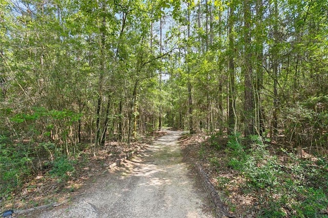 404 Warrior Trce, Covington, LA 70435 - view of street featuring a forest view