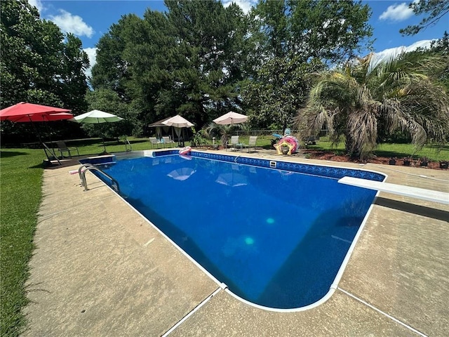 30010 River Rd, Mount Hermon, LA 70450 - swimming pool featuring a diving board, a patio area, and view of scattered trees