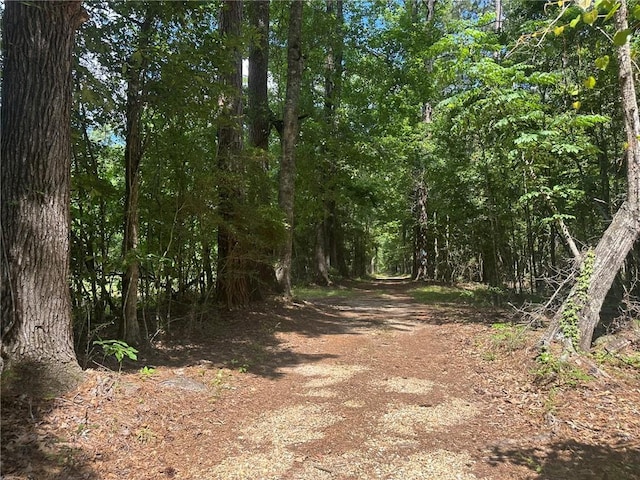 30010 River Rd, Mount Hermon, LA 70450 - view of street featuring a forest view