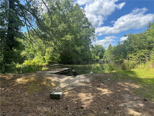 30010 River Rd, Mount Hermon, LA 70450 - water view featuring a heavily wooded area and a boat dock