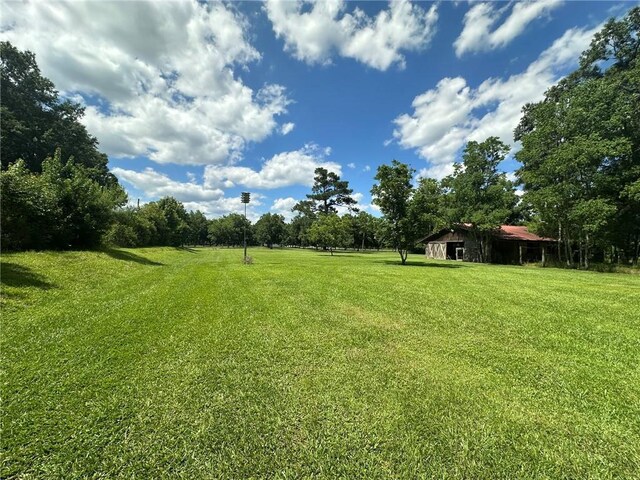 30010 River Rd, Mount Hermon, LA 70450 - view of green lawn